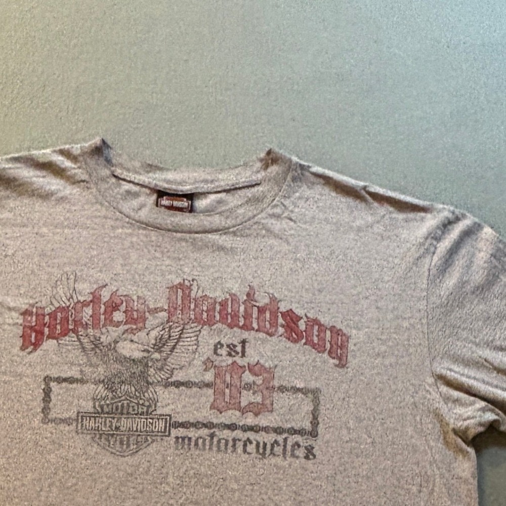VTG Harley Davidson T Shirt Mens XL Grey Southern Thunder Route 61 Biker Y2K